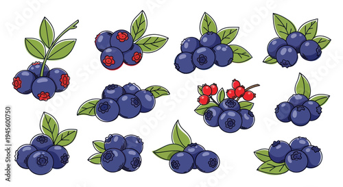 Hand-drawn blueberry collection with green leaves, isolated on white background