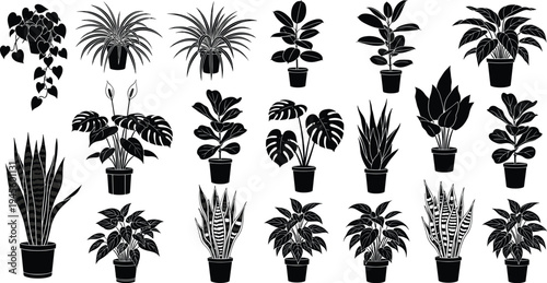 Black silhouette illustration of twenty potted houseplants with diverse leaf shapes and patterns, representing indoor greenery, botanical artwork, decora