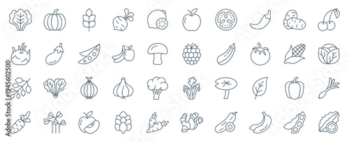 Vegetable line icon set, outline collection of healthy food vegetables vector