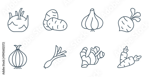 Root vegetable icons vector. Set of fresh garlic, ginger, beet, and carrot symbols