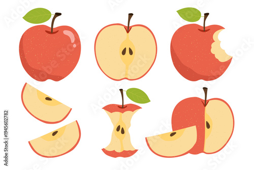 Set of hand-painted red apples. Whole, sliced and bitten apples, apple core