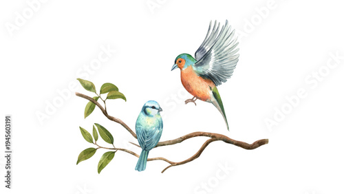 Two small colorful birds perched on a tree branch illustration