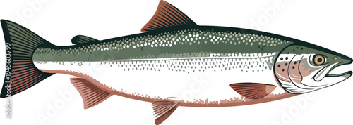 Fresh fish silhouette isolated on white background seafood animal food ingredient vector illustration