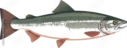 Fresh fish silhouette isolated on white background seafood animal food ingredient vector illustration