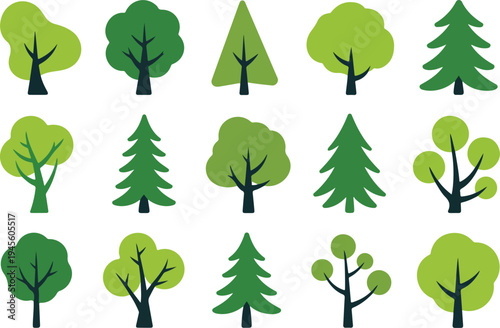 Colorful deciduous and coniferous trees set isolated on white background simple flat vector illustration for biology educationPrint