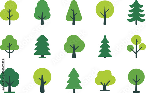 Colorful deciduous and coniferous trees set isolated on white background simple flat vector illustration for biology educationPrint