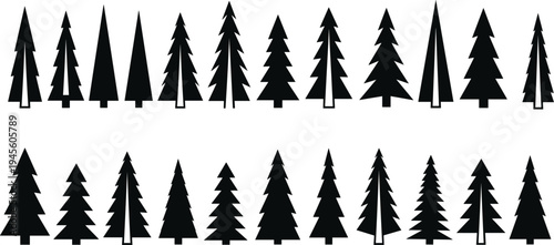 Vector collection of black and white pine tree silhouettes featuring various evergreen spruce and fir tree shapes for forest nature and outdoor design isolated on white background