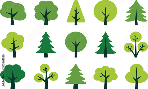 Colorful deciduous and coniferous trees set isolated on white background simple flat vector illustration for biology educationPrint