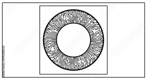 Detailed black and white illustration of a human eye iris with intricate radial patterns and a central pupil.