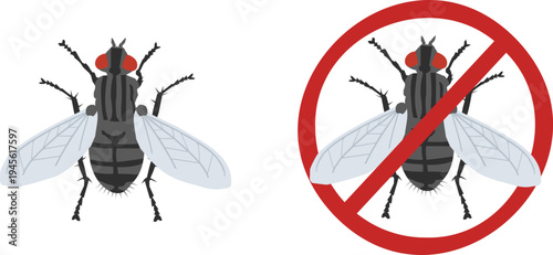 Set of fly icons in simple flat vector style. Suitable for infographics, UI icons, warning signs, and health awareness materials.