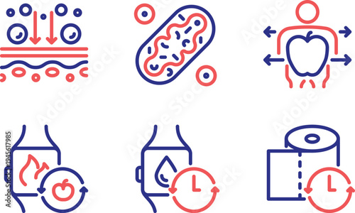 Diagrams illustrating different types of molecular transport mechanisms across membranes