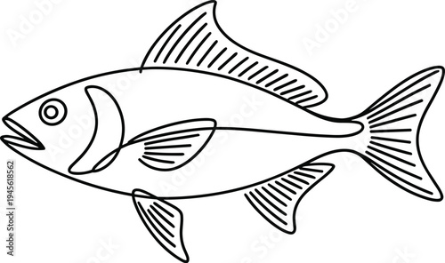 Line Art Fish Illustration with Fins and Tail Isolated on White Background Simple Vector