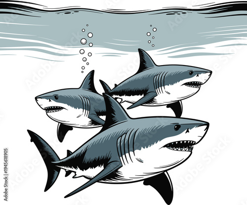 Three Sharks Swimming Underwater Ocean Predators Marine Life Stock Illustration