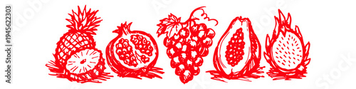 Red hand-drawn sketch of tropical fruits including pineapple, pomegranate, grapes, papaya, and dragon fruit on white background. Artistic fruit illustration in a horizontal panoramic banner.