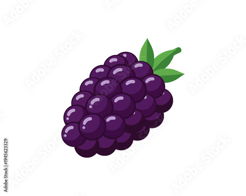 A vibrant vector illustration depicting a plump bunch of dark purple grapes with fresh green leaves, perfect for fruit-themed designs.