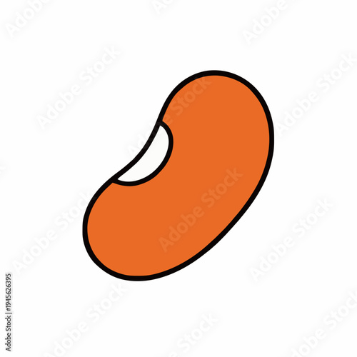 Single Orange Bean Outline Simple Graphic Illustration Isolated on White Background Healthy Food Concept