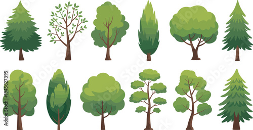 Cartoon green trees collection vector set with forest pine, deciduous and garden trees isolated illustration for nature landscape design