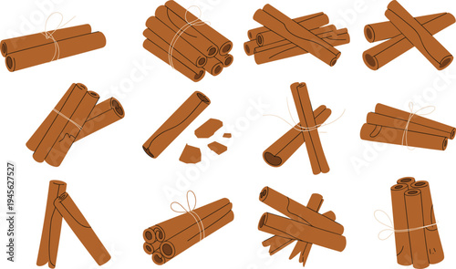  Cinnamon sticks spice set with aromatic bark rolls and bundled seasoning ingredients vector illustration collection for cooking, baking and food design
