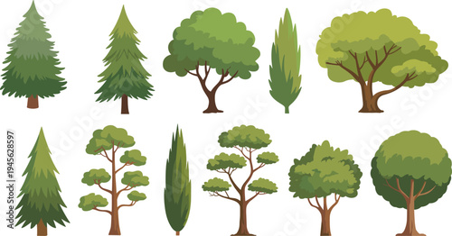 Forest trees collection with pine, cypress and deciduous trees, green nature plants set for landscape, park and garden design vector illustration