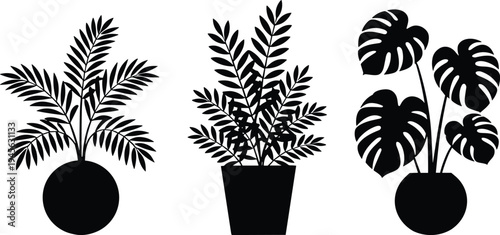 Silhouette potted indoor plants trio with monstera palm fern vector set, botanical houseplant templates for gardening and interior design illustration