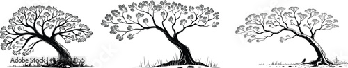 Three stylized bonsai tree silhouettes, twisted trunks and detailed branches, ornamental landscape elements for logos, posters, design templates and branding