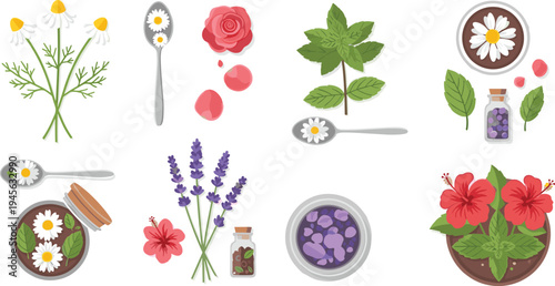 Herbal Tea and Natural Medicine Vector Set with Chamomile Lavender Mint Rose Petals and Botanical Ingredients Isolated on Light Background