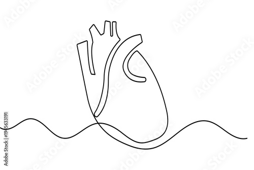 Minimalist one line art of a human heart anatomical outline vector for medical design