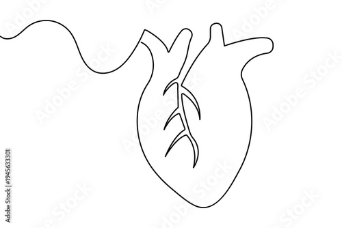 Minimalist one line art of a human heart anatomical outline vector for medical design