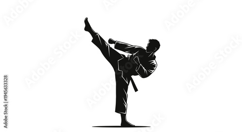 Silhouette of a Martial Artist Performing a High Kick.