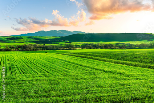 beautiful view in a green farm field with fresh spring grass on rural hills with amazing sunset or sunrise cloudy sky on background of agricultural landscape