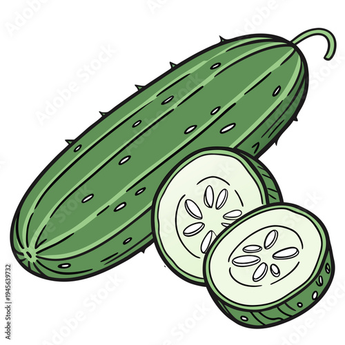 Cartoon of a whole cucumber and two halves green cucumber sliced cucumber vegetable food