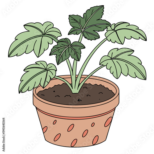 Green plant in terracotta pot with soil and red spots potted plant gardening