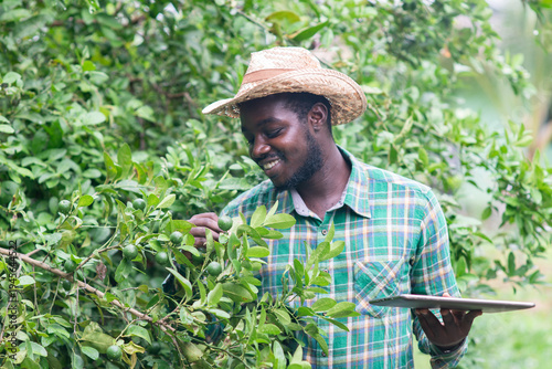 Happy African Farmer Using Tablet in Lemon Orchard