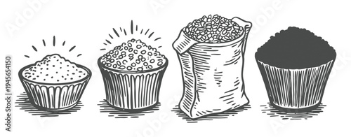 Hand-Drawn Illustration of Coffee Beans in Various Stages and Containers