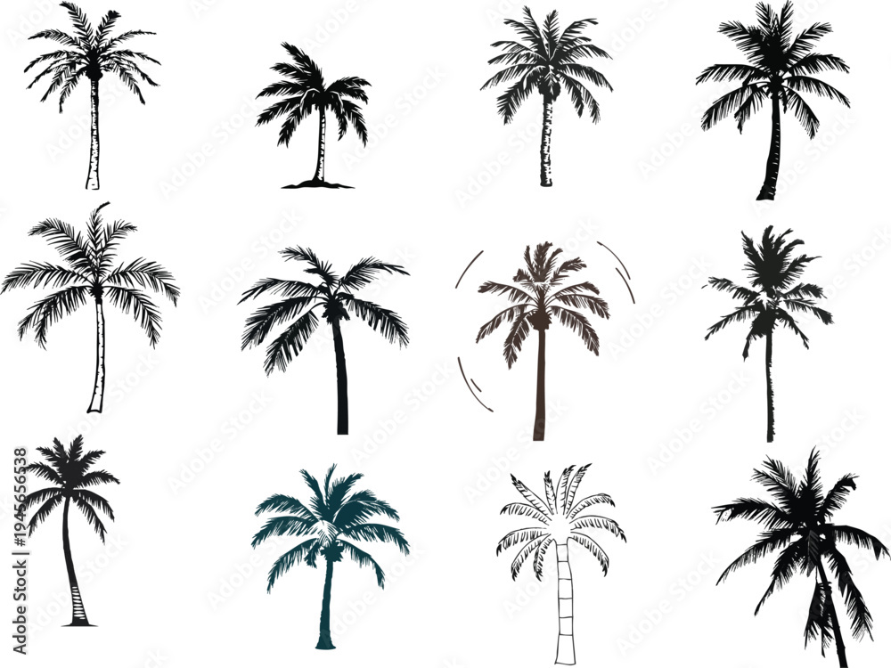 Fototapeta premium Black palm tree silhouette set, tropical hibiscus flowers vector collection, Hawaiian beach paradise elements, coconut palm outlines illustration, exotic island flora graphic pack, vacation the