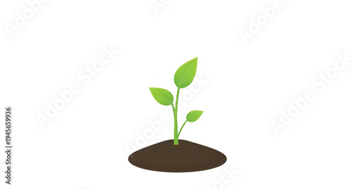 plant, seedling, sprout, young, growth, soil, dirt, earth, ground, root, leaf, leaves, stem, green, nature, garden, gardening, agriculture, farming, ecology, eco, environment, natural, organic, fresh,