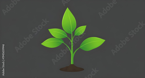 plant, seedling, sprout, young, growth, soil, dirt, earth, ground, root, leaf, leaves, stem, green, nature, garden, gardening, agriculture, farming, ecology, eco, environment, natural, organic, fresh,