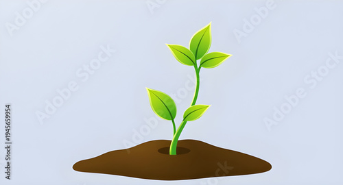 plant, seedling, sprout, young, growth, soil, dirt, earth, ground, root, leaf, leaves, stem, green, nature, garden, gardening, agriculture, farming, ecology, eco, environment, natural, organic, fresh,