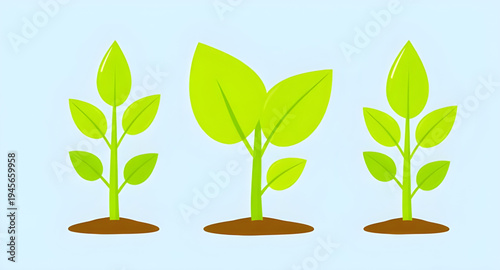 plant, seedling, sprout, young, growth, soil, dirt, earth, ground, root, leaf, leaves, stem, green, nature, garden, gardening, agriculture, farming, ecology, eco, environment, natural, organic, fresh,