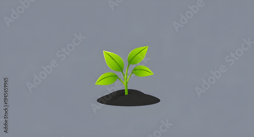 plant, seedling, sprout, young, growth, soil, dirt, earth, ground, root, leaf, leaves, stem, green, nature, garden, gardening, agriculture, farming, ecology, eco, environment, natural, organic, fresh,