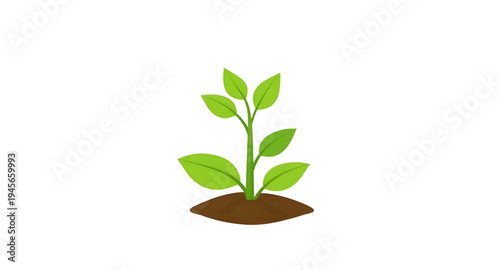plant, seedling, sprout, young, growth, soil, dirt, earth, ground, root, leaf, leaves, stem, green, nature, garden, gardening, agriculture, farming, ecology, eco, environment, natural, organic, fresh,