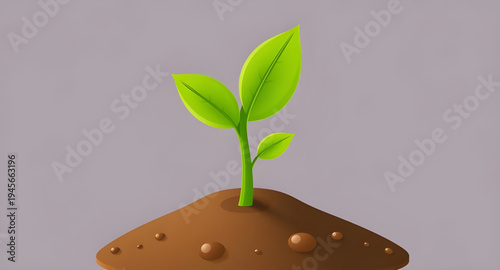 plant, seedling, sprout, young, growth, soil, dirt, earth, ground, root, leaf, leaves, stem, green, nature, garden, gardening, agriculture, farming, ecology, eco, environment, natural, organic, fresh,
