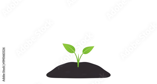 plant, seedling, sprout, young, growth, soil, dirt, earth, ground, root, leaf, leaves, stem, green, nature, garden, gardening, agriculture, farming, ecology, eco, environment, natural, organic, fresh,