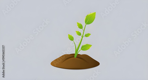 plant, seedling, sprout, young, growth, soil, dirt, earth, ground, root, leaf, leaves, stem, green, nature, garden, gardening, agriculture, farming, ecology, eco, environment, natural, organic, fresh,