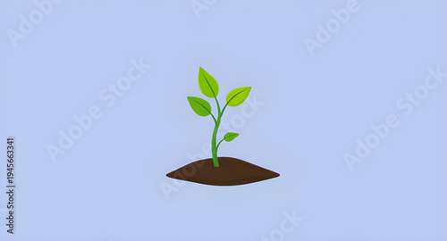 plant, seedling, sprout, young, growth, soil, dirt, earth, ground, root, leaf, leaves, stem, green, nature, garden, gardening, agriculture, farming, ecology, eco, environment, natural, organic, fresh,