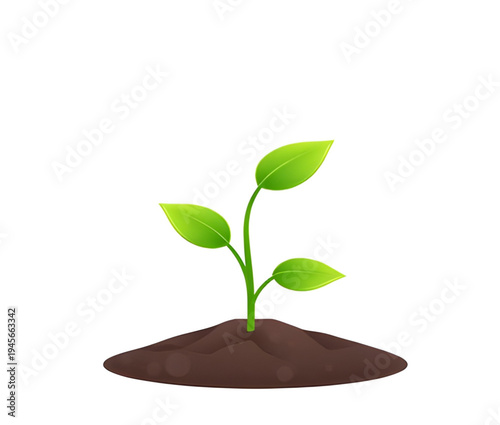plant, seedling, sprout, young, growth, soil, dirt, earth, ground, root, leaf, leaves, stem, green, nature, garden, gardening, agriculture, farming, ecology, eco, environment, natural, organic, fresh,