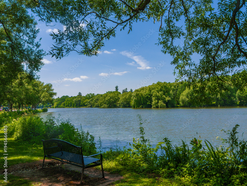 Fototapeta premium Empty Metal Bench Facing a Peaceful Lake Surrounded by Green Trees