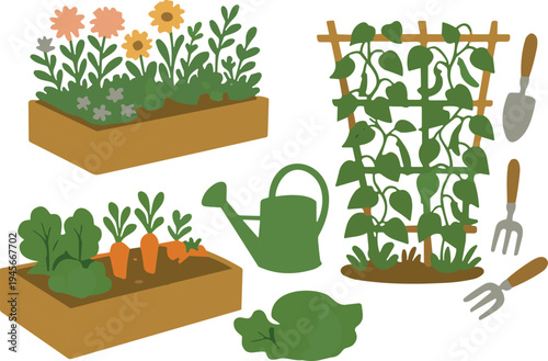 Flat vector illustration of home gardening featuring raised vegetable beds with carrots, blooming flowers, climbing bean trellis, watering can, and hand tools,