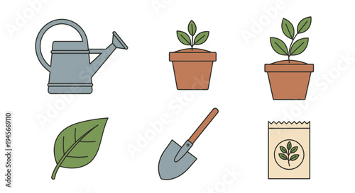 Gardening tools and potted plants.