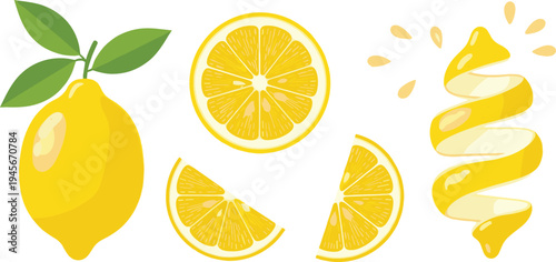 Fresh Lemon Fruit Collection with Whole Lemon Slices Citrus Peel Twist and Juice Splash Vector Illustration Set